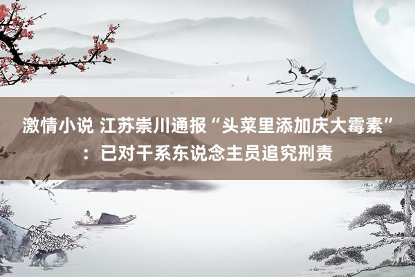 激情小说 江苏崇川通报“头菜里添加庆大霉素”:已对干系东说念主员追究刑责