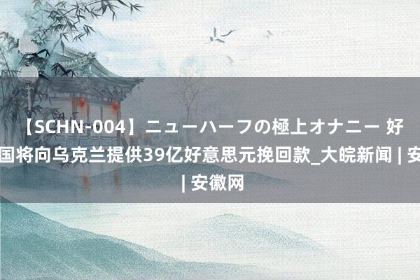【SCHN-004】ニューハーフの極上オナニー 好意思国将向乌克兰提供39亿好意思元挽回款_大皖新闻 | 安徽网