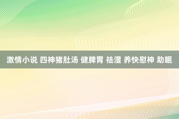 激情小说 四神猪肚汤 健脾胃 祛湿 养快慰神 助眠