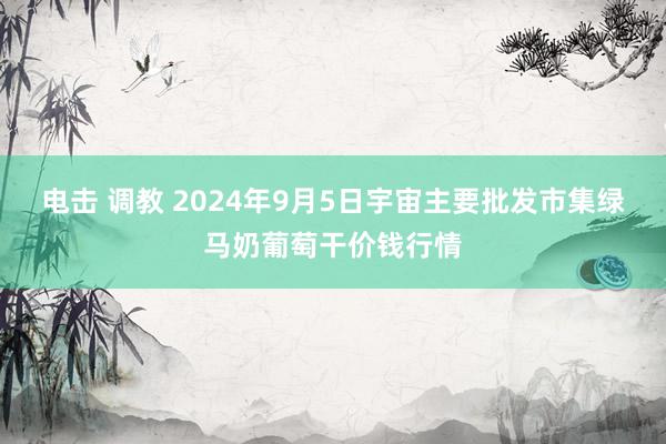 电击 调教 2024年9月5日宇宙主要批发市集绿马奶葡萄干价钱行情