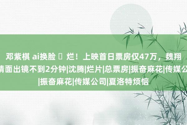 邓紫棋 ai换脸 ​烂！上映首日票房仅47万，魏翔新片惨败，还情面出镜不到2分钟|沈腾|烂片|总票房|振奋麻花|传媒公司|夏洛特烦恼