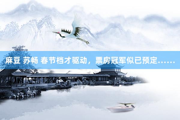 麻豆 苏畅 春节档才驱动，票房冠军似已预定……