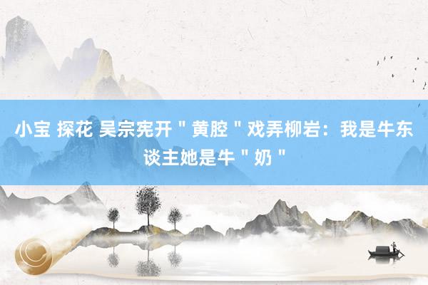 小宝 探花 吴宗宪开＂黄腔＂戏弄柳岩：我是牛东谈主她是牛＂奶＂
