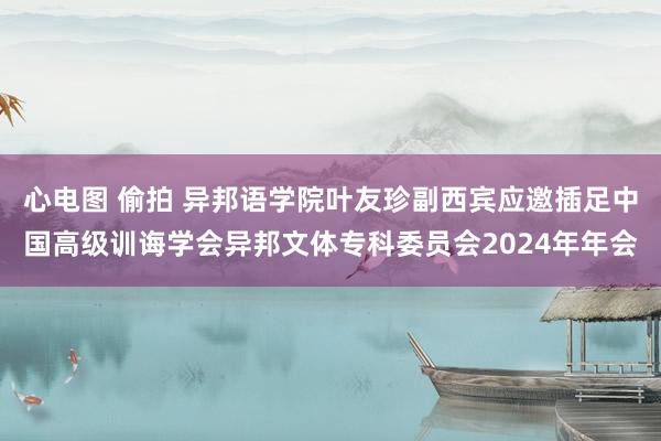 心电图 偷拍 异邦语学院叶友珍副西宾应邀插足中国高级训诲学会异邦文体专科委员会2024年年会