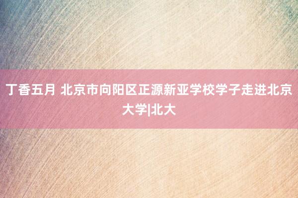 丁香五月 北京市向阳区正源新亚学校学子走进北京大学|北大