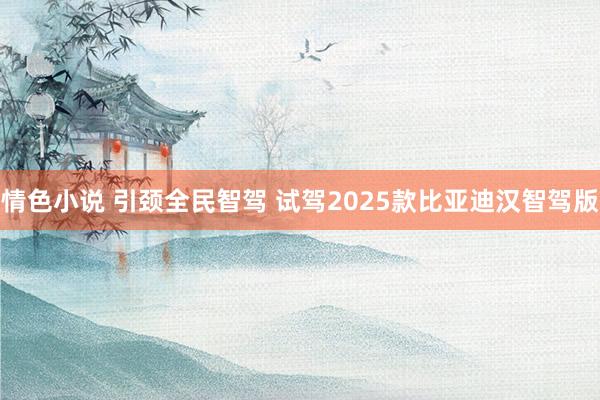 情色小说 引颈全民智驾 试驾2025款比亚迪汉智驾版