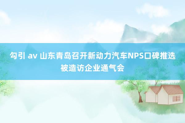 勾引 av 山东青岛召开新动力汽车NPS口碑推选被造访企业通气会