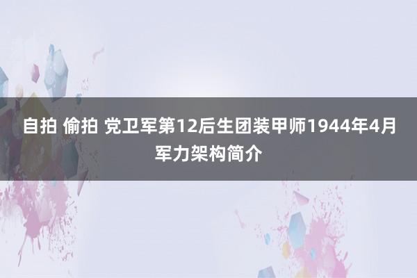 自拍 偷拍 党卫军第12后生团装甲师1944年4月军力架构简介