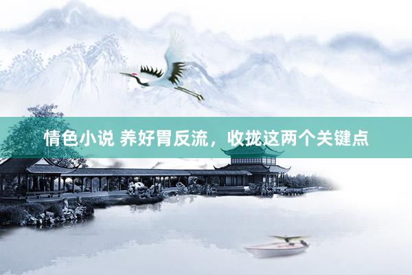 情色小说 养好胃反流，收拢这两个关键点