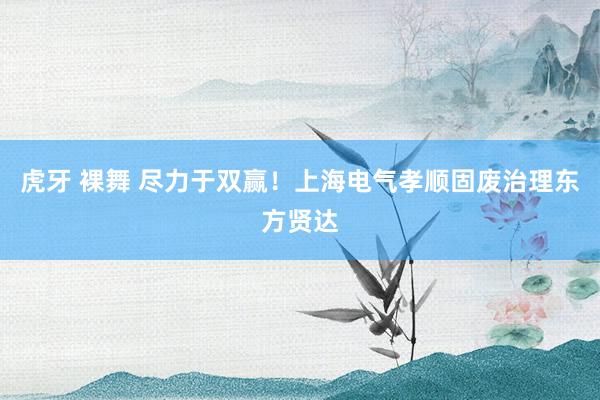 虎牙 裸舞 尽力于双赢！上海电气孝顺固废治理东方贤达