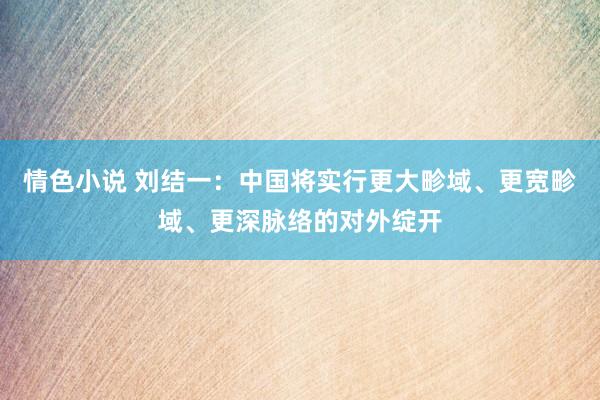 情色小说 刘结一：中国将实行更大畛域、更宽畛域、更深脉络的对外绽开